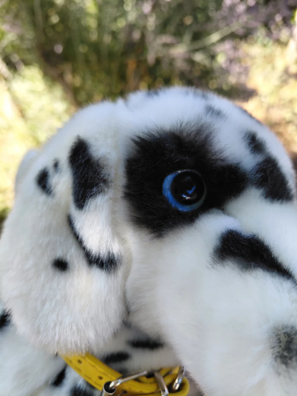 Plush Dalmatian Dog Douglas With Tags